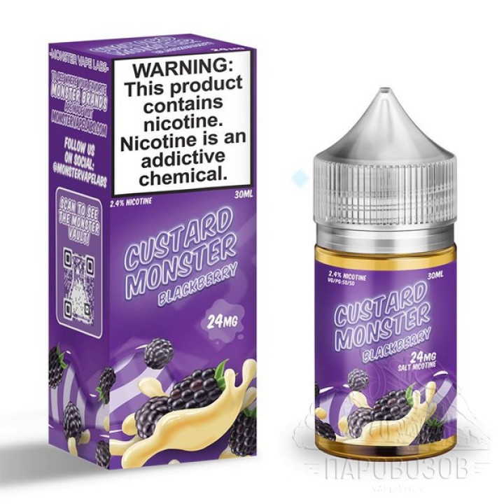 SALT Custard Monster Blackberry 30 мл ДВ