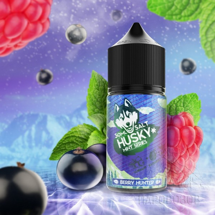 Жидкость HUSKY MINT SERIES Double TX (Strong) SALT - BERRY HUNTER 30 мл 20 мг (Северный охотник на лесные ягоды)