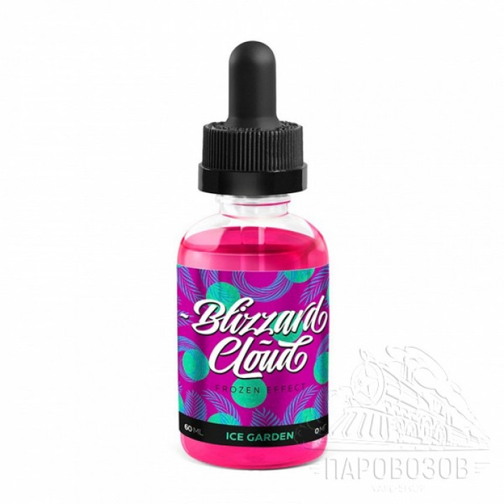 BLIZZARD Cloud - ICE GARDEN
