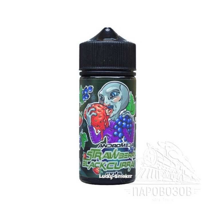 Andromeda Strawberry Blackcurrant 100 мл 0мг