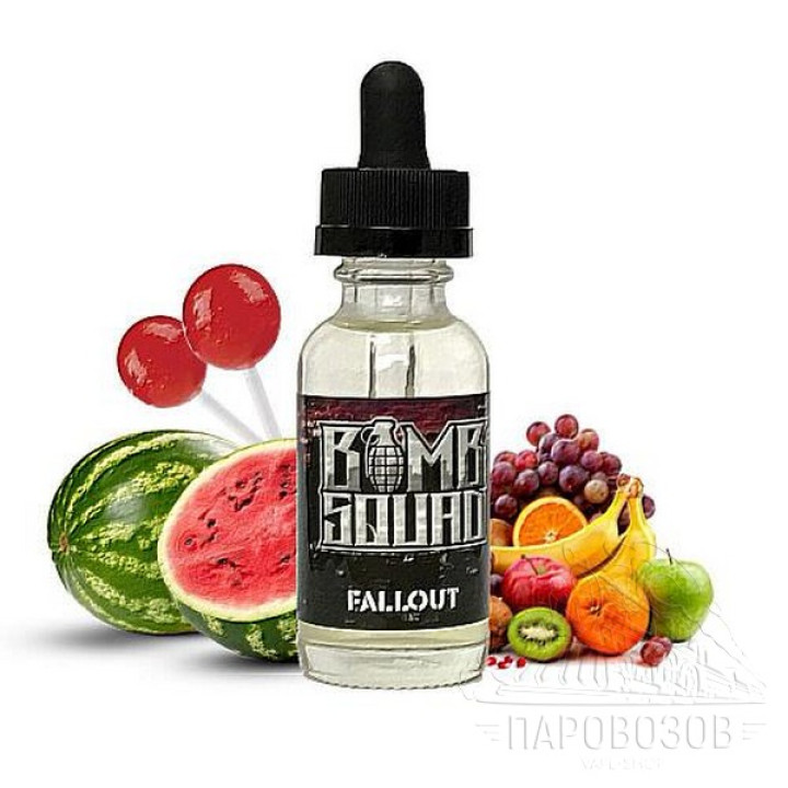 Bomb Squad - Fallout