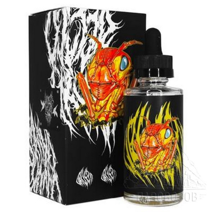 DR GRIMES 60ml Circle Pit 0mg