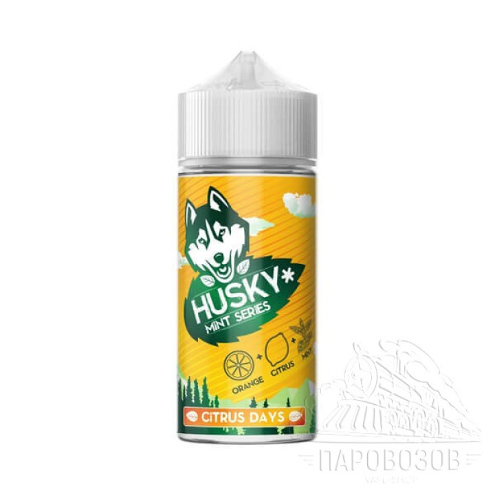 Husky Mint Series - Citrus Days 100ml (3 мг)