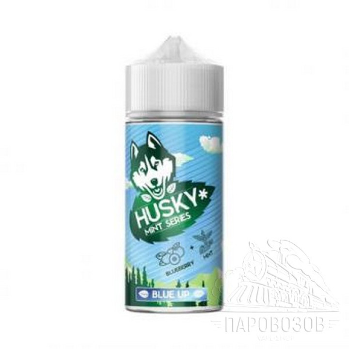 Husky Mint Series - Blue Up 100ml (3 мг)