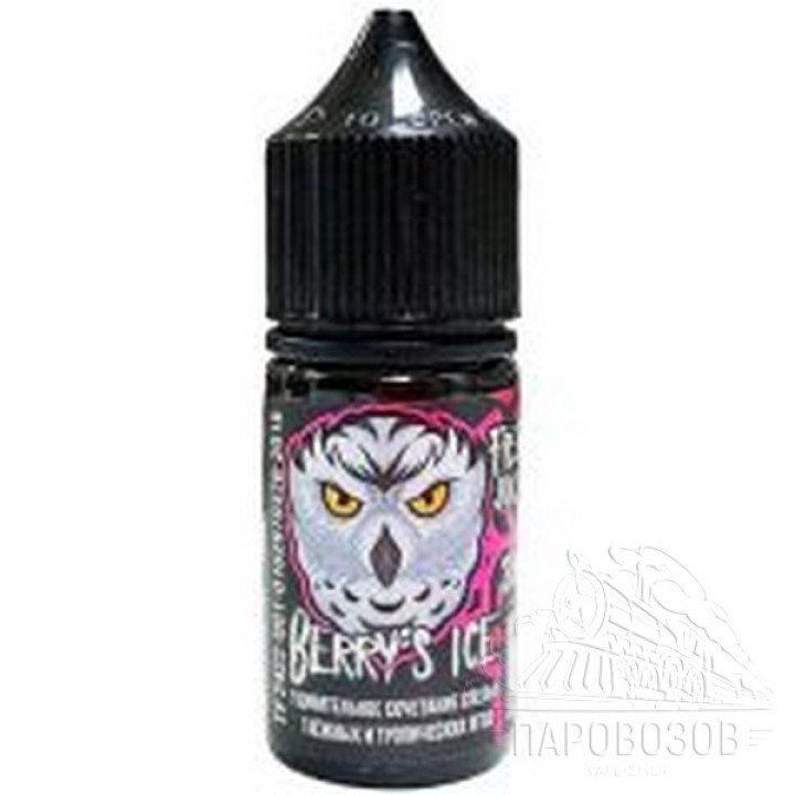 FREEZE BREEZE SALT Berry's ICE 30ml 20